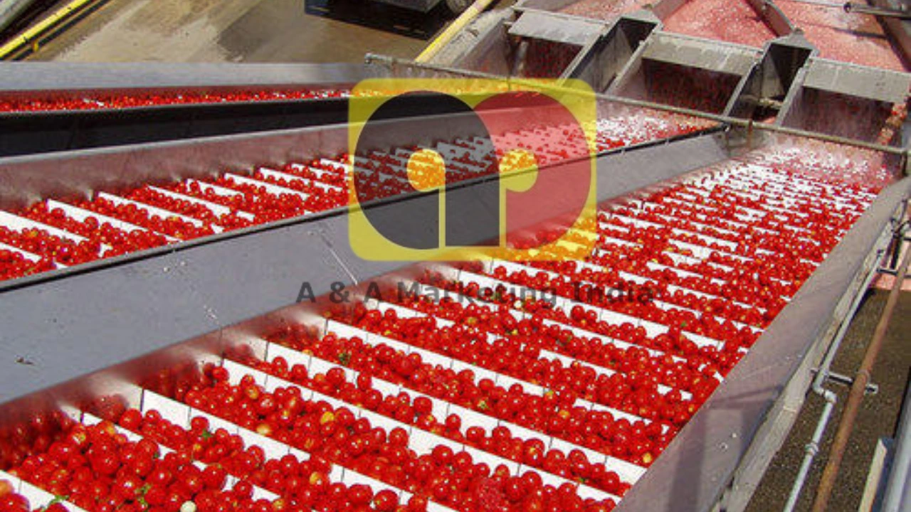 You are currently viewing How is Ketchup made: Truth, Background, History, Facts and Production